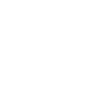 AI Chatbot